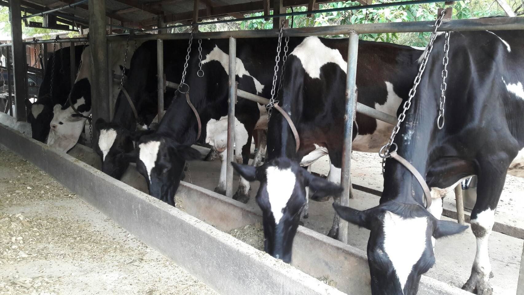 สระบุรี