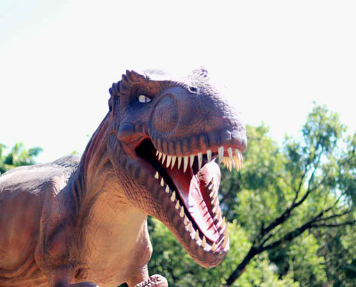 ขอนแก่น