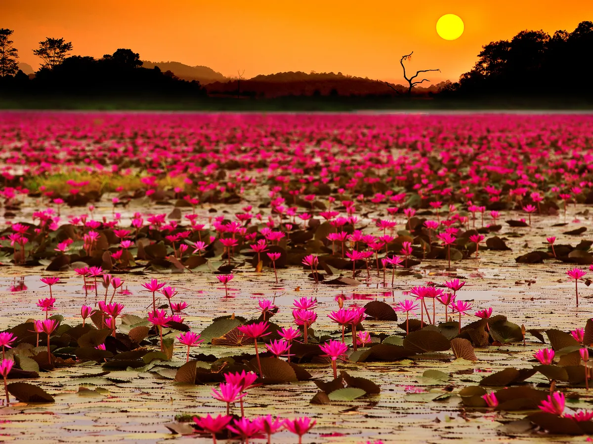 อุดรธานี